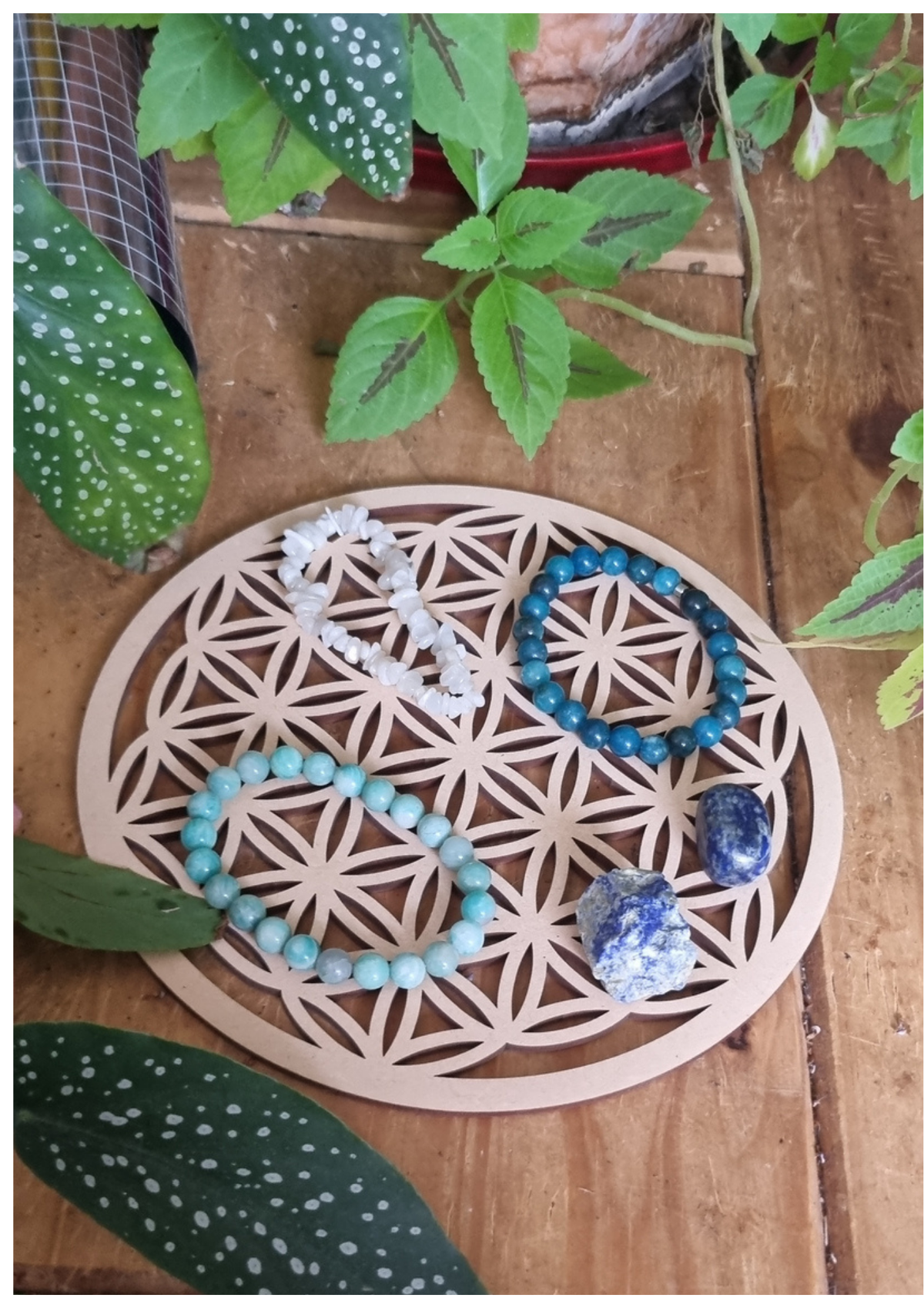 Plaque de rechargement Fleur de vie