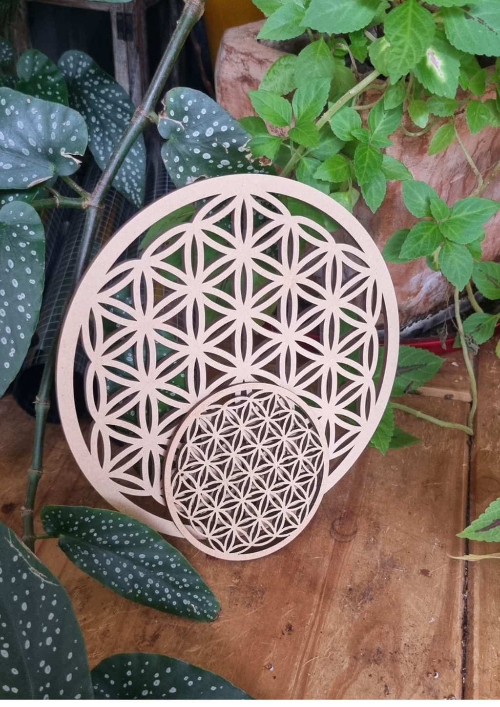Plaque de rechargement Fleur de vie