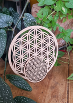 Plaque de rechargement Fleur de vie