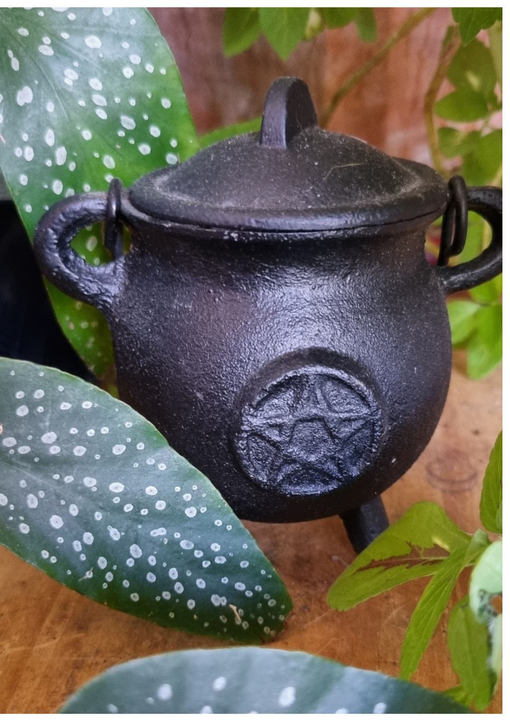 Chaudron Pentagramme