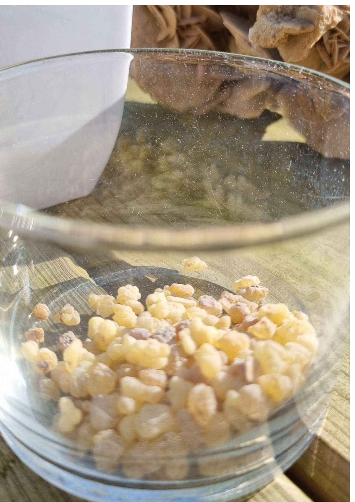 Encens grain Oliban