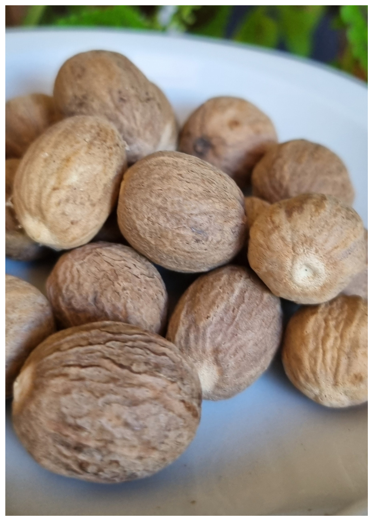 Noix de muscade
