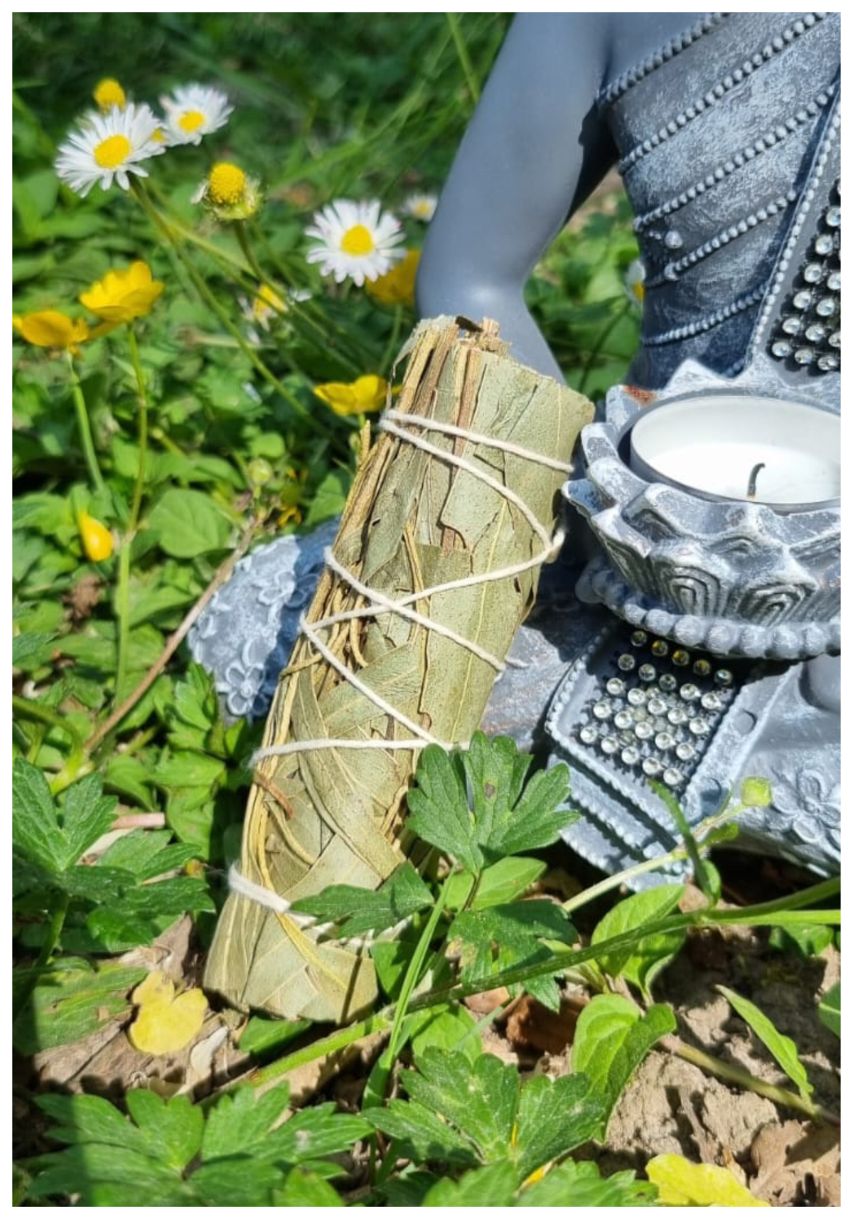 Encens Eucalyptus