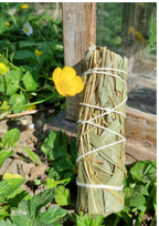 Encens Eucalyptus