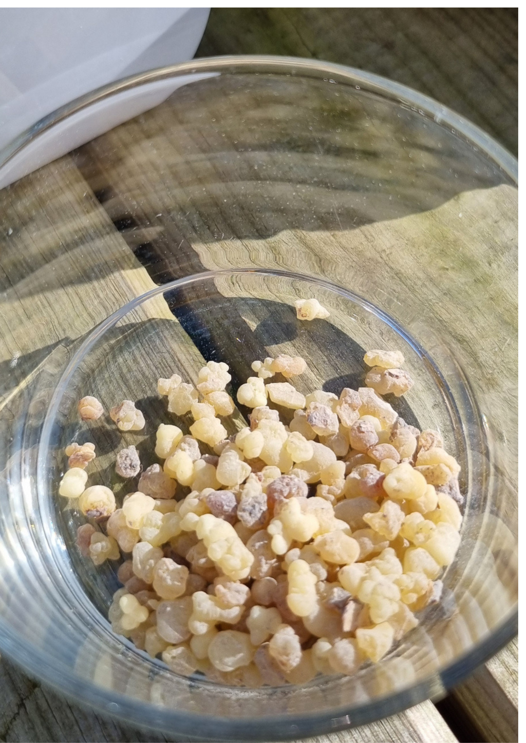 Encens grain Oliban