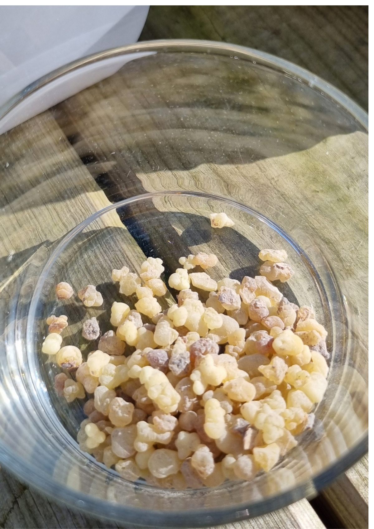 Encens grain Oliban