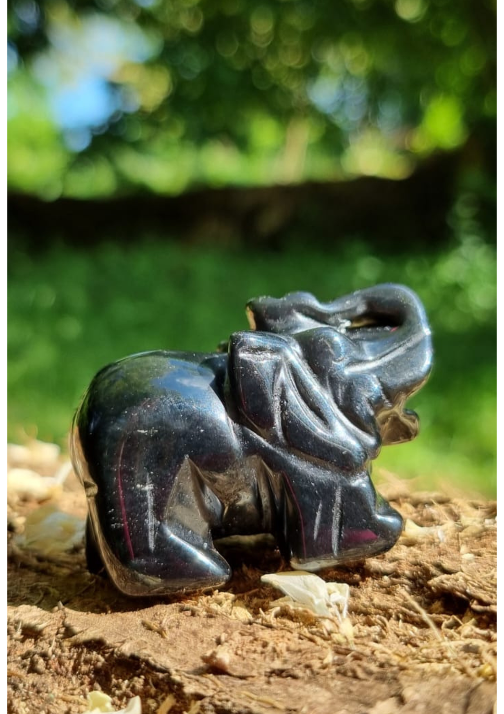 Eléphant Obsidienne Noire