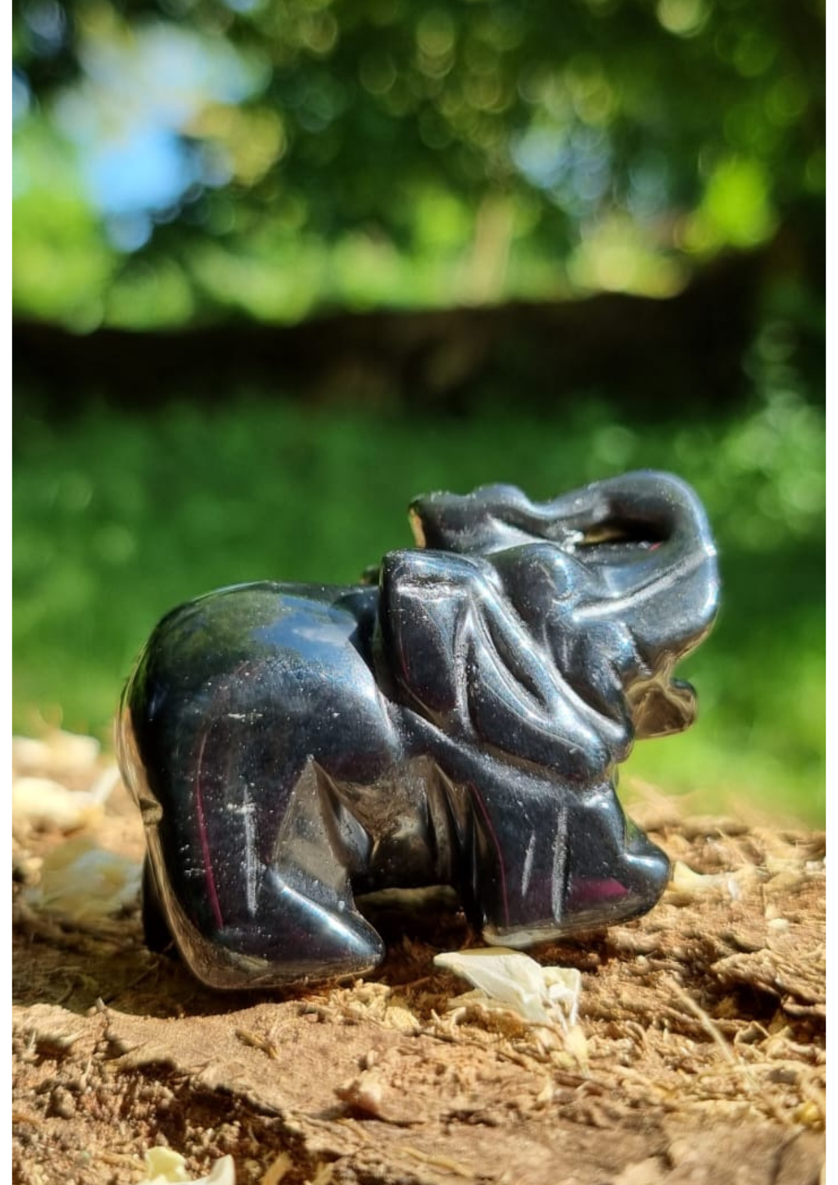 Eléphant Obsidienne Noire
