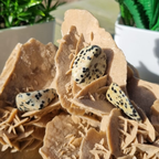 Pierre Jaspe Dalmatien