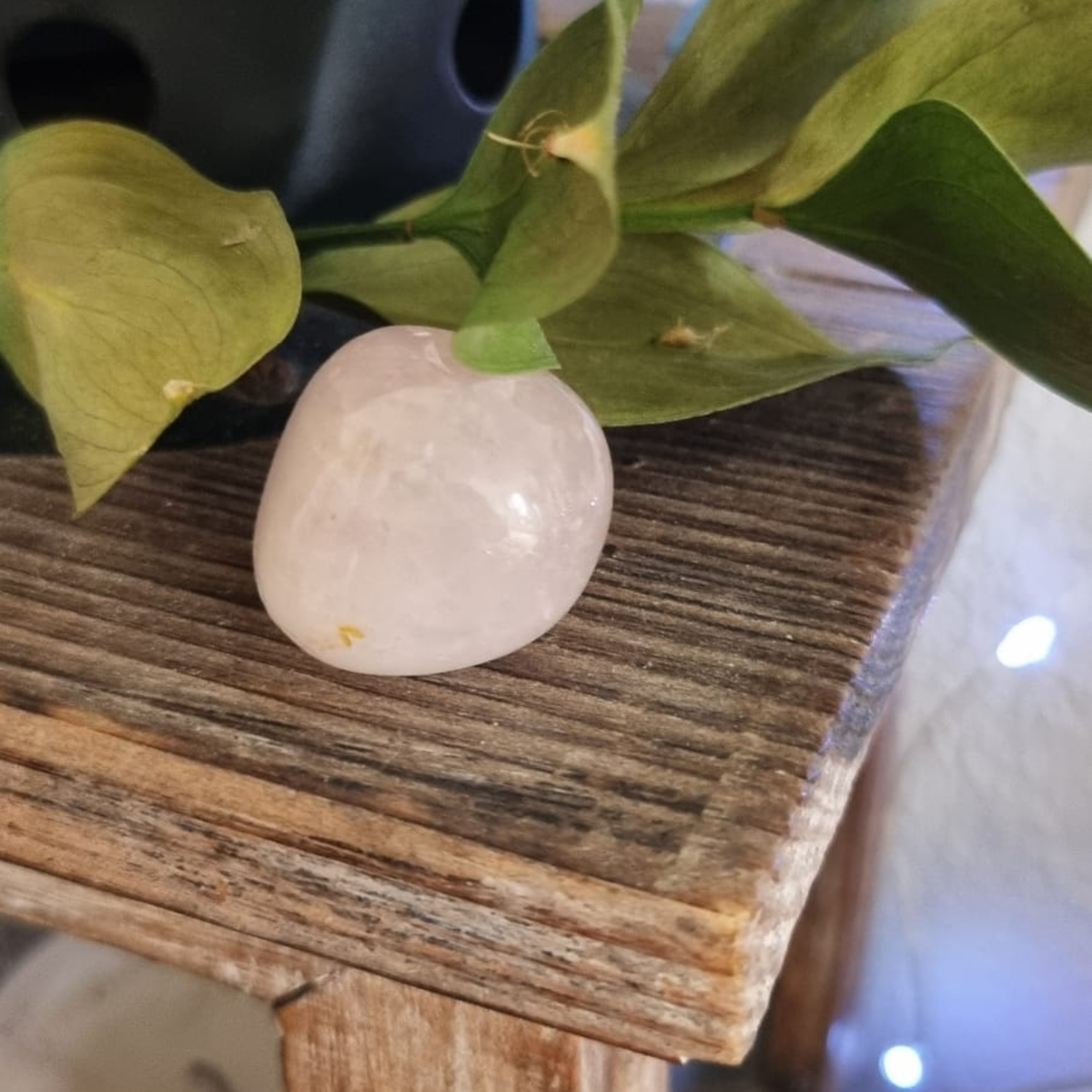 Pierre roulée Quartz Rose