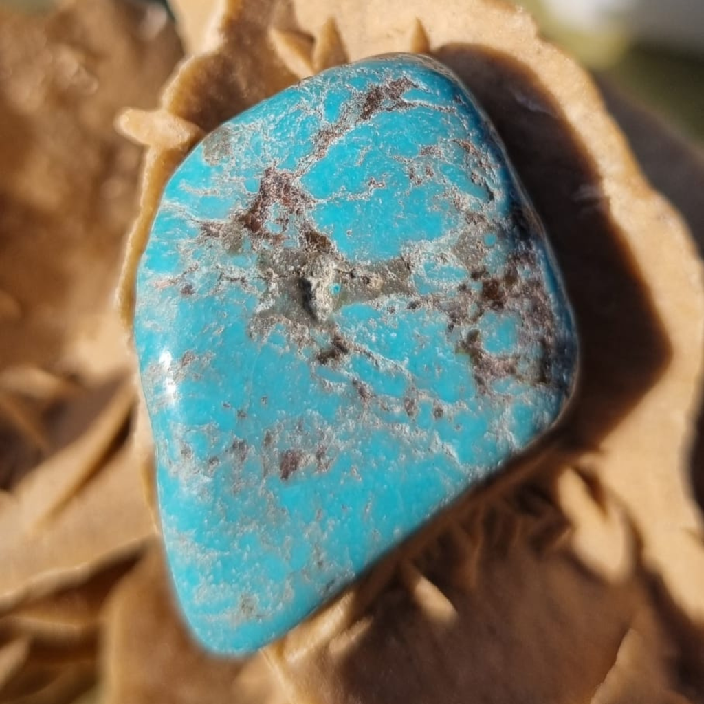 Pierre Turquoise