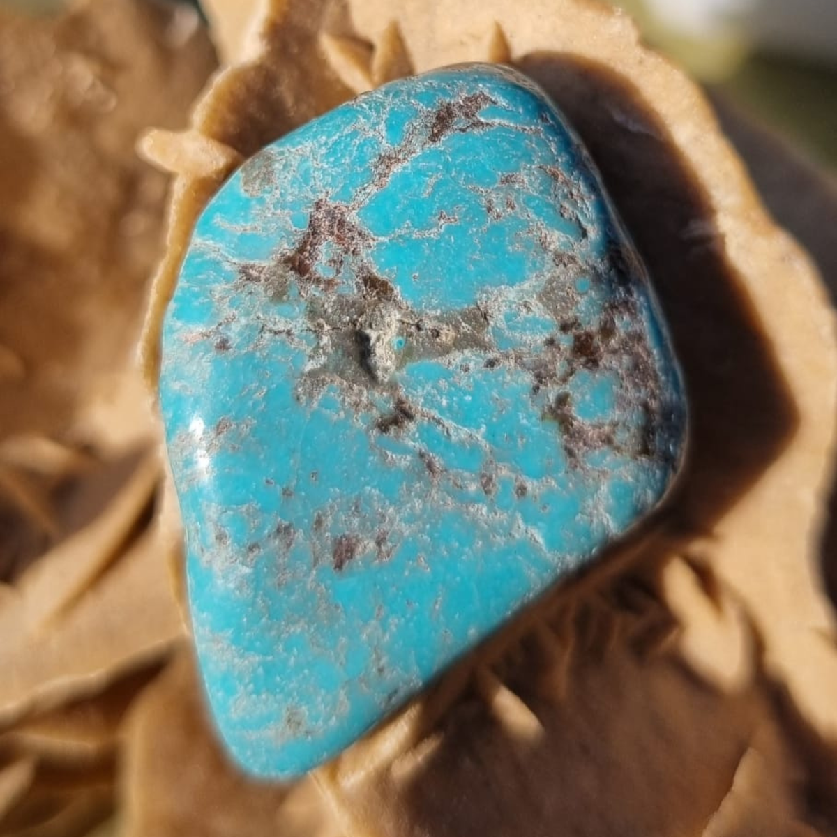 Pierre Turquoise