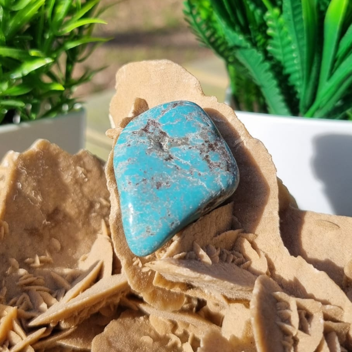Pierre Turquoise